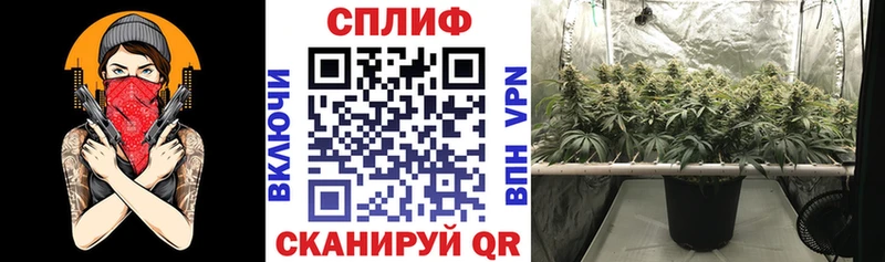 Купить закладку Галлюциногенные грибы  Alpha PVP  Меф  Гашиш  Бошки Шишки  Кокаин  Среднеколымск