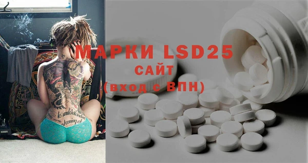PSILOCYBIN Вязьма