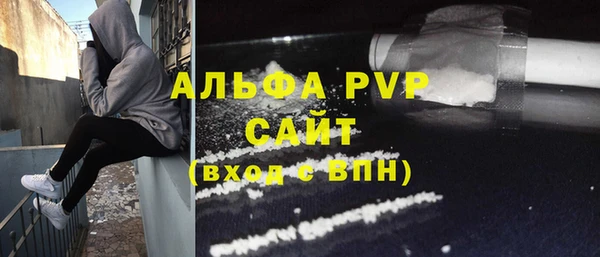 PSILOCYBIN Вязьма